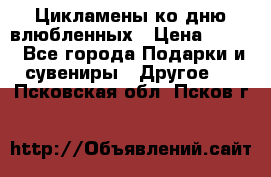 Цикламены ко дню влюбленных › Цена ­ 180 - Все города Подарки и сувениры » Другое   . Псковская обл.,Псков г.